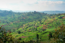 Load image into Gallery viewer, Businde - Gitwe, Burundi
